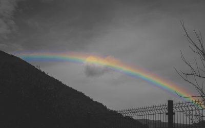 Feliz Día del Orgullo