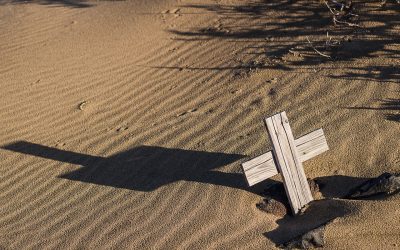 “SOCIALISMO O MUERTE” ¡A VER SI VA A SER VERDAD!