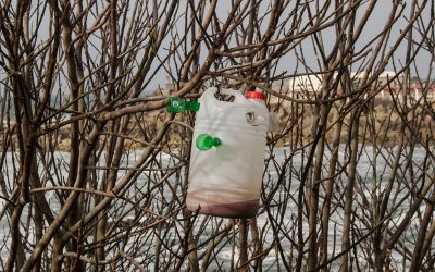 Consciencia y conciencia