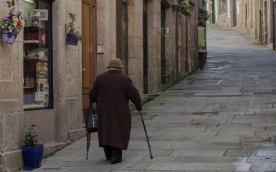 ¿Más  perros  que  niños?