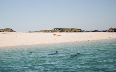 VA POR NUESTROS QUERIDOS MUERTOS